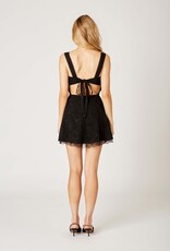 Lace Trim Jacquard Mini Dress