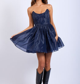 Sheer Layered Strapless Mini Dress