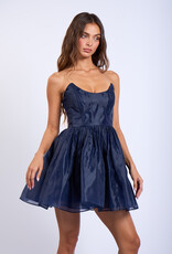 Sheer Layered Strapless Mini Dress