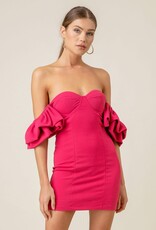 Robin Mini Dress