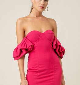 Robin Mini Dress