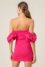 Robin Mini Dress