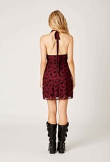 Joey Floral Burnout Mini Dress