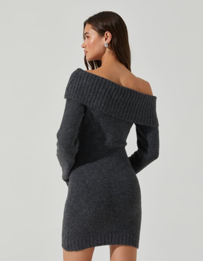 Leya Sweater Mini Dress