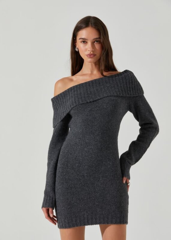 Leya Sweater Mini Dress