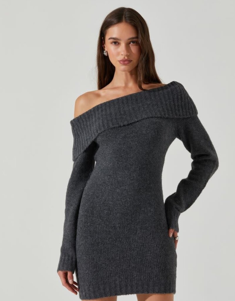 Leya Sweater Mini Dress