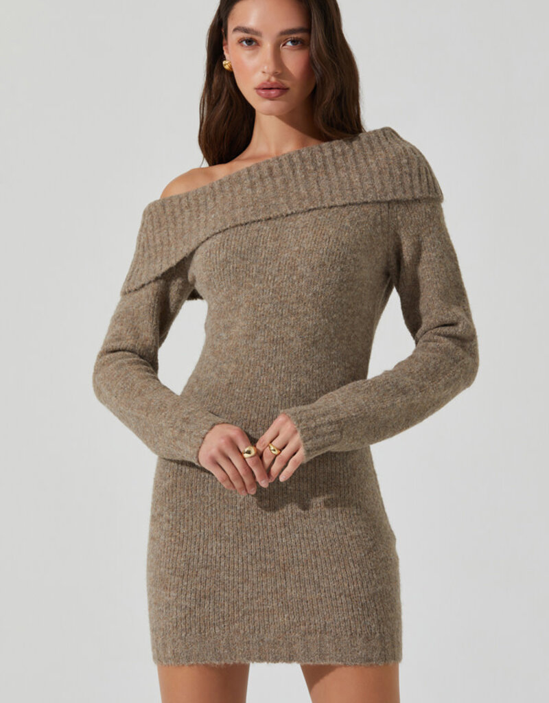 Leya Sweater Mini Dress