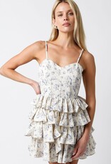 Floral Print Corset Tiered Ruffle Mini Dress