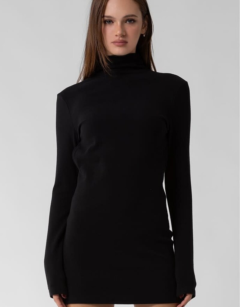 Open Back Turtleneck Mini Dress