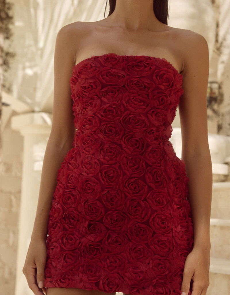 Rosaline Mini Dress