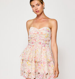 Rosa Mini Dress