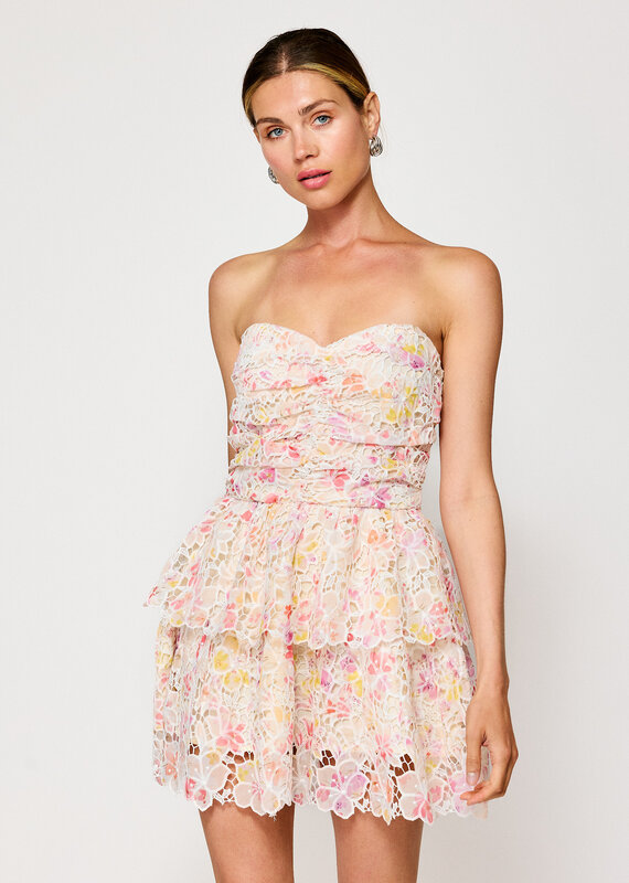 Rosa Mini Dress