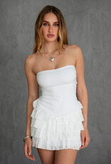 Eyelet Skirt Strapless Mini Dress