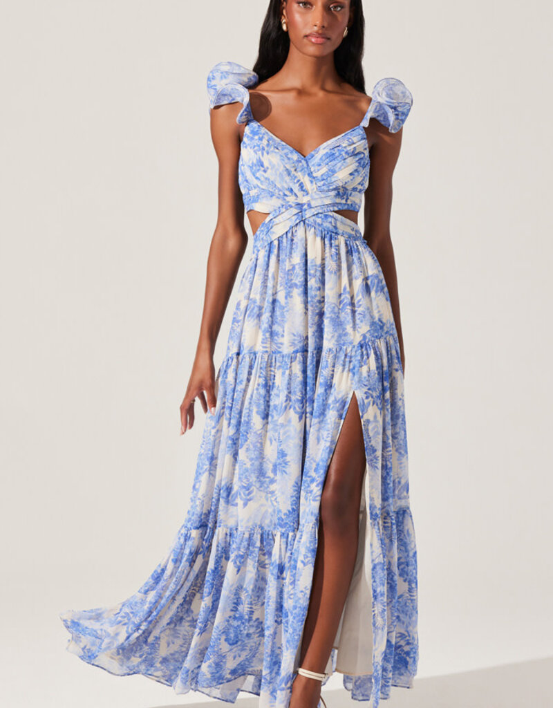 ASTR Fritillaria Floral Maxi Dress