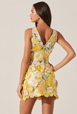 ASTR Aisha Floral Applique Mini Dress