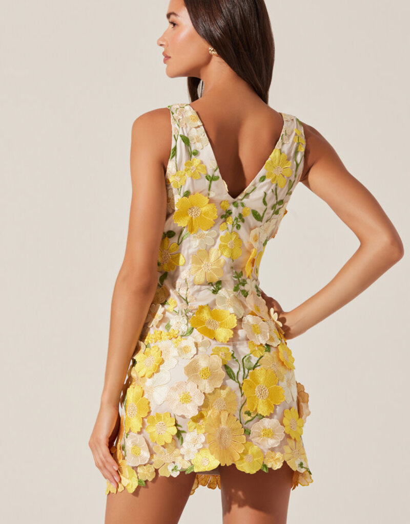 ASTR Aisha Floral Applique Mini Dress
