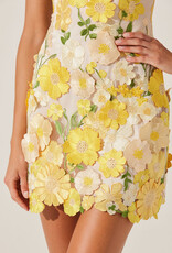 ASTR Aisha Floral Applique Mini Dress