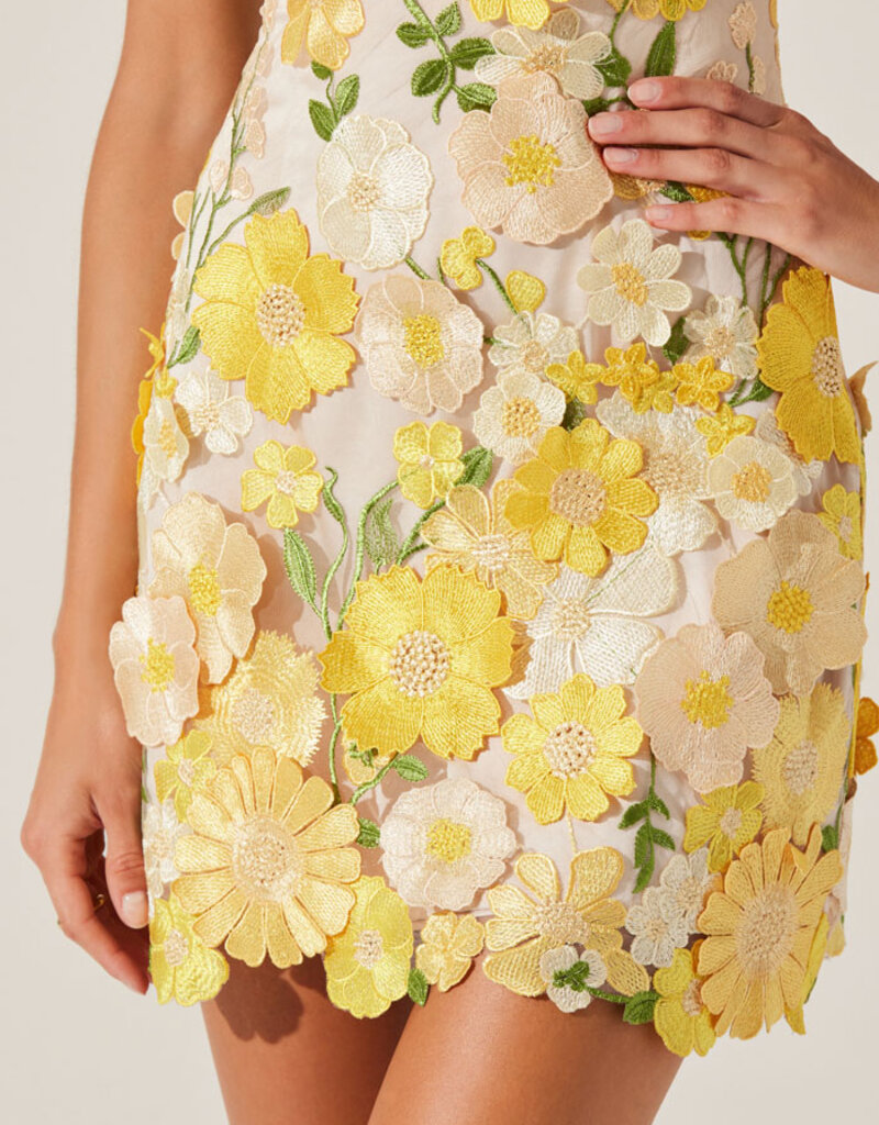 ASTR Aisha Floral Applique Mini Dress