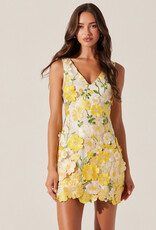 ASTR Aisha Floral Applique Mini Dress