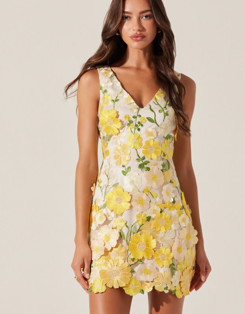 ASTR Aisha Floral Applique Mini Dress