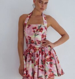 Winslow Mini Dress