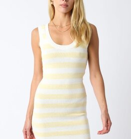 Knit Stripe Tank Mini Dress