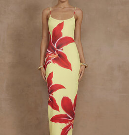 Deia Midi Dress