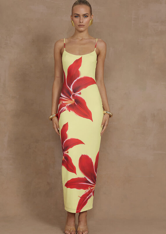 Deia Midi Dress