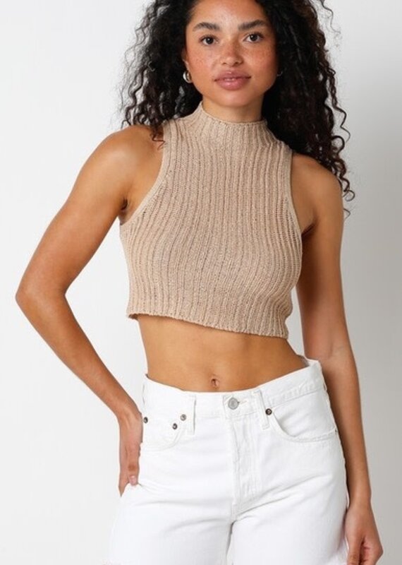 Snyder Knit Mock Neck Crop Top