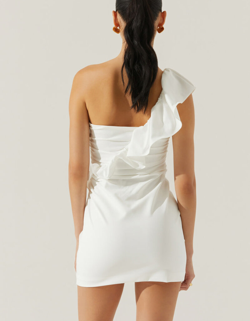 ASTR Camilla Mini Dress