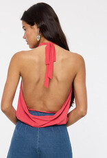 Halter V Neck Back Strap Mesh Top