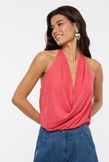 Halter V Neck Back Strap Mesh Top