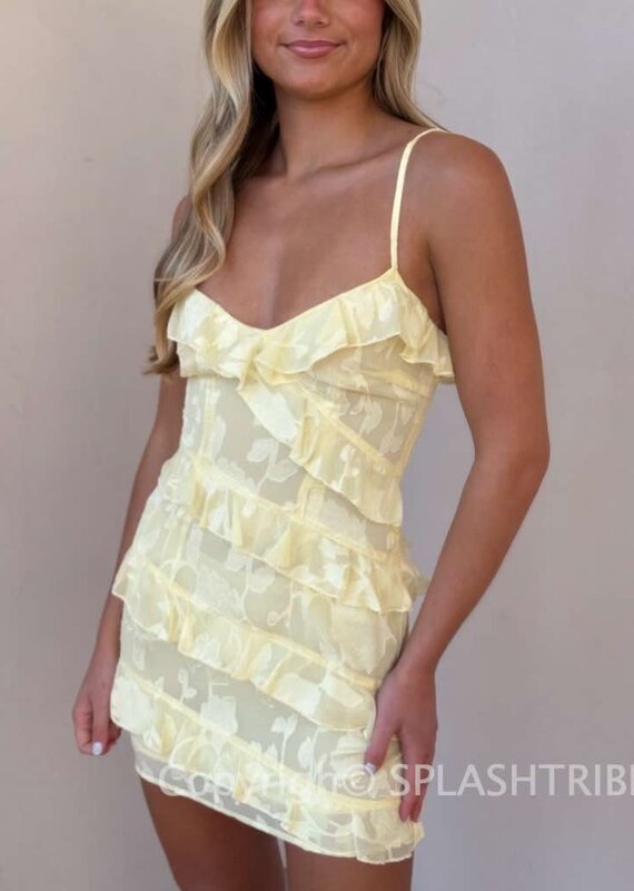 Aisha Mini Dress