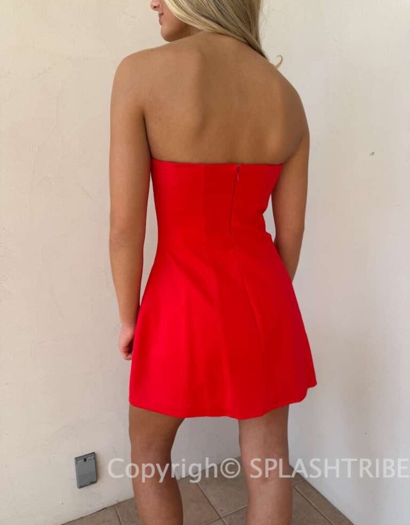 Halle Strapless Mini Dress