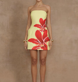 Primrose Mini Dress