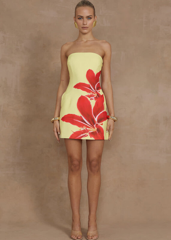 Primrose Mini Dress