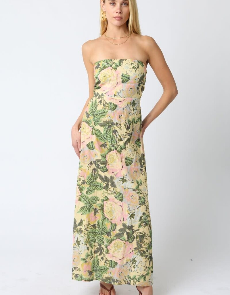 Amina Floral Strapless Maxi Dress