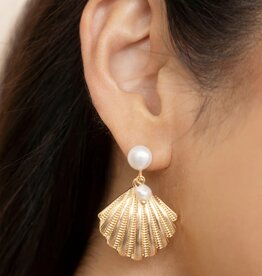 Scallop Shell and Pearl Earrings G