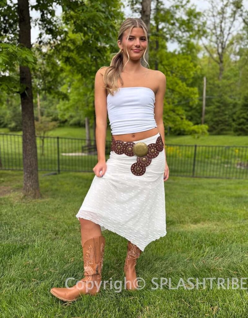 Mesh Lace Asymmetrical Hem Midi Skirt