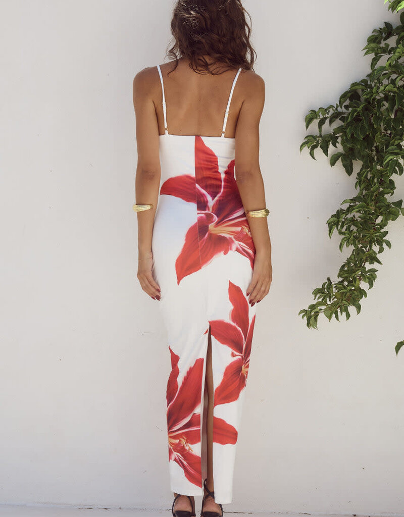 DEIA Midi Dress
