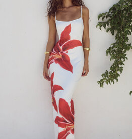 DEIA Midi Dress