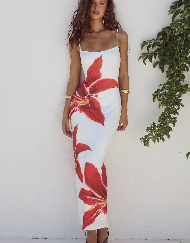 DEIA Midi Dress