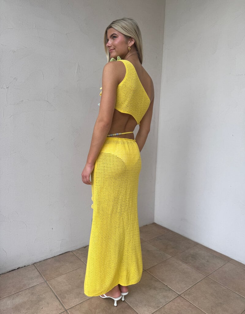 Crochet Flower Crop Top Maxi Skirt Set