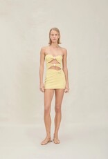 Devon Windsor Eve Skirt