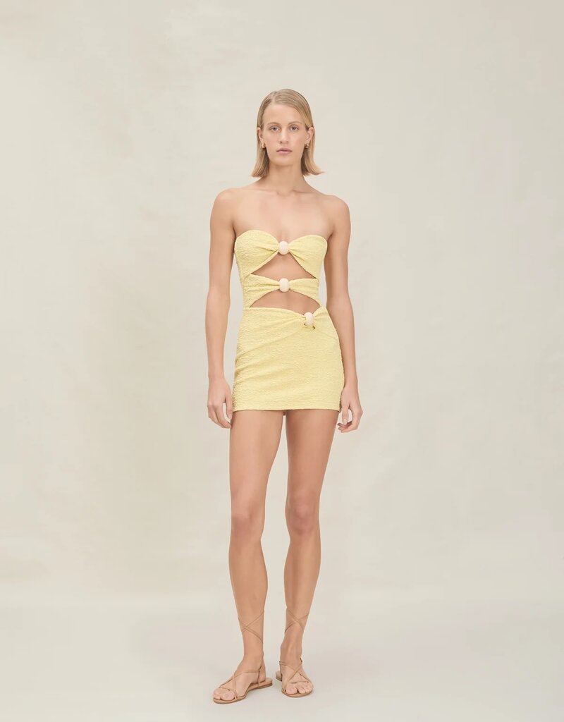 Devon Windsor Eve Skirt