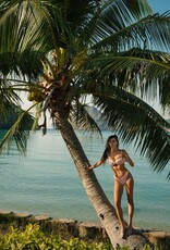 Devon Windsor Gene Bikini Bottom