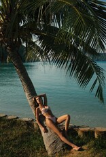 Devon Windsor Gene Bikini Bottom