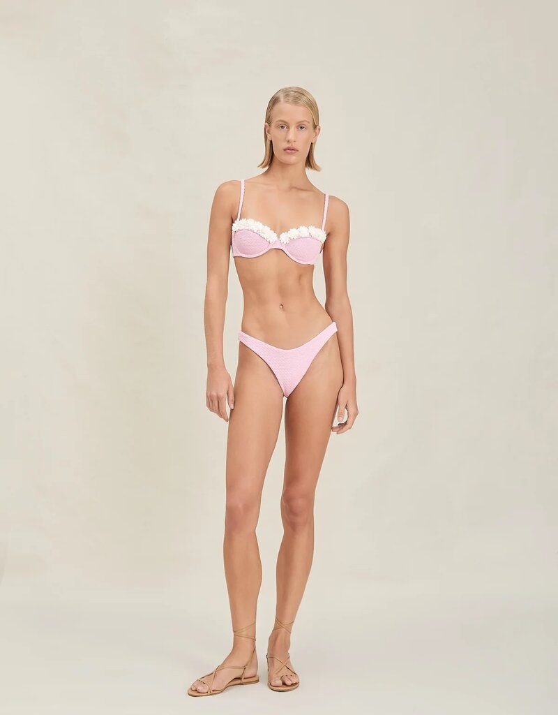 Devon Windsor Gene Bikini Bottom