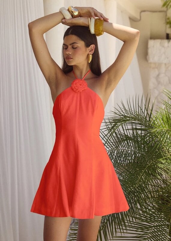 Shelbie Mini Dress