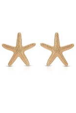 Statement Starfish Stud Earrings G